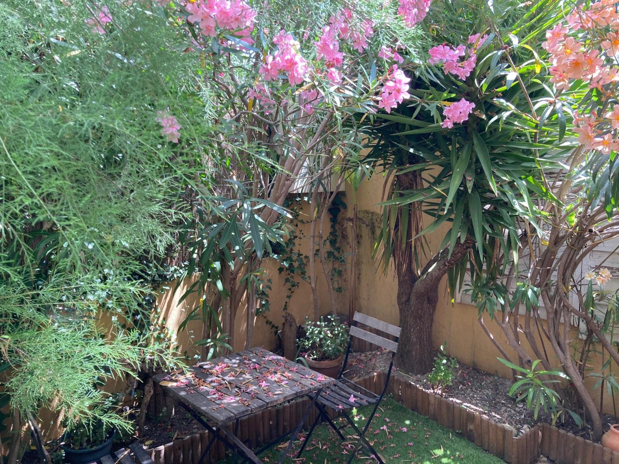 T2 Traversant Avec Une Grande Terrasse Et Piscine Cagnes-sur-Mer Exterior foto